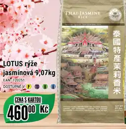Tamda Foods LOTUS rýže jasmínová 9,07kg nabídka