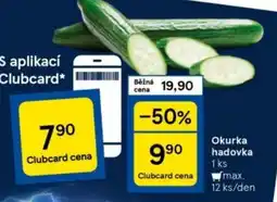 Tesco Okurka hadovka nabídka