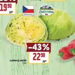 Billa Ledový salát nabídka