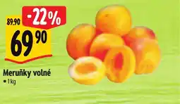 Albert Meruňky volné nabídka