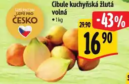 Albert Cibule kuchyňská žlutá volná nabídka