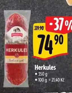 Albert Herkules nabídka