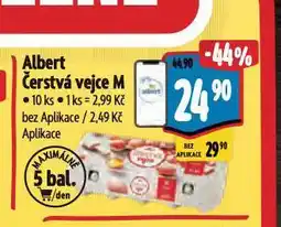 Albert Vejce m nabídka