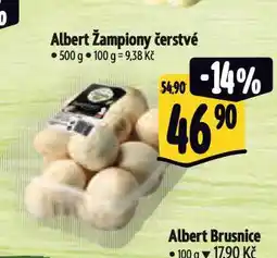 Albert Žampiony nabídka