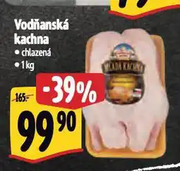 Vodňanská kachna