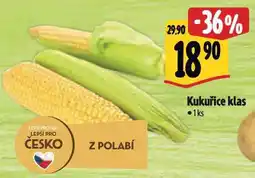Albert Kukuřice klas nabídka
