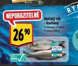 Albert Mořský vlk kuchaný nabídka