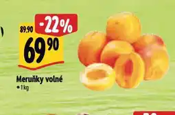 Albert Meruňky nabídka