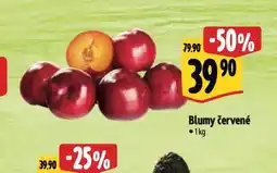 Albert Blumy nabídka