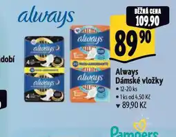 Albert Always dámské vložky nabídka