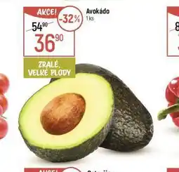 Globus Avokádo nabídka