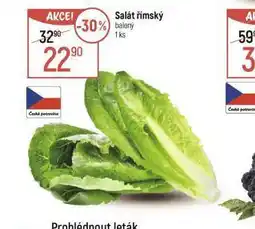 Globus Salát římský nabídka