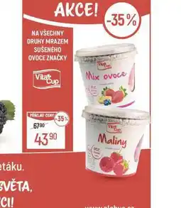 Globus Sušené ovoce nabídka