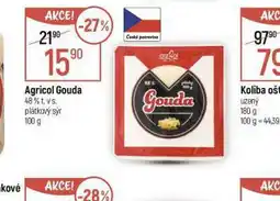 Globus Agricol gouda 48% nabídka