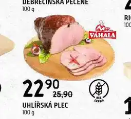 Terno Uhlířská plec nabídka