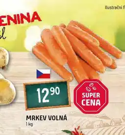 Terno Mrkev nabídka