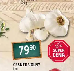 Terno Česnek volný nabídka