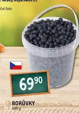 Terno Borůvky nabídka