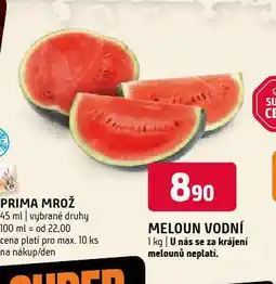 Terno Meloun vodní nabídka
