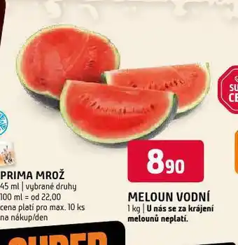 Terno Meloun vodní nabídka