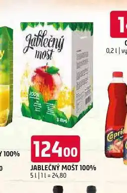 Terno Jablečný mošt nabídka