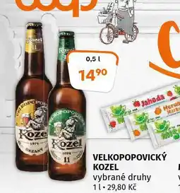 Terno Pivo velkopopovický kozel nabídka