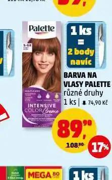 Penny Market Palette barva na vlasy nabídka