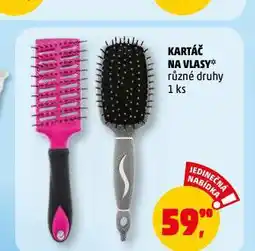 Penny Market Kartáč na vlasy nabídka