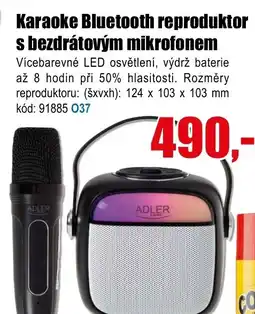 EVA Karaoke Bluetooth reproduktor s bezdrátovým mikrofonem nabídka