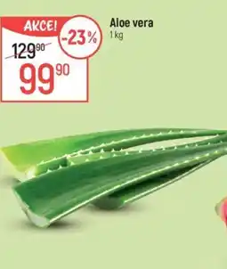 Globus Aloe vera nabídka