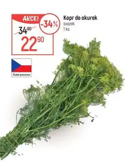Kopr do okurek