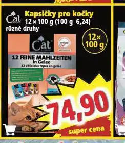Norma Kapsičky pro kočky nabídka
