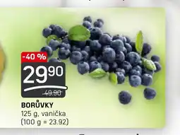 Flop BORŮVKY nabídka