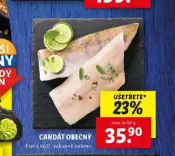 Lidl Candát obecný nabídka