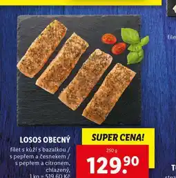 Lidl Losos obecný nabídka