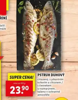 Lidl Pstruh duhový nabídka