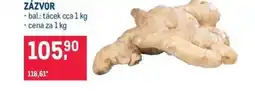 Makro ZÁZVOR nabídka