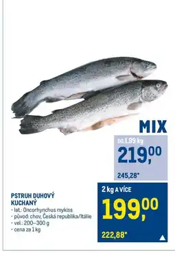 Makro PSTRUH DUHOVÝ KUCHANỲ nabídka