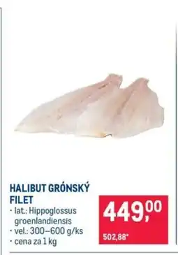 Makro HALIBUT GRÓNSKÝ FILET nabídka