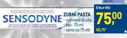 Makro ZUBNÍ PASTA nabídka