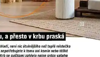 OBI Koberec nabídka