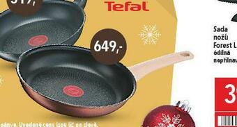 Globus Pánev tefal nabídka