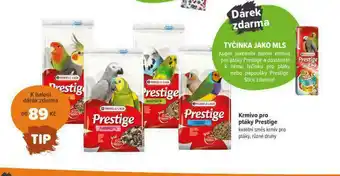 Krmivo pro ptáky prestige