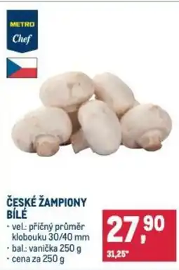 Makro ČESKÉ ŽAMPIONY BÍLÉ nabídka