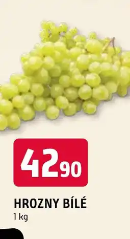 Terno HROZNY BÍLÉ nabídka
