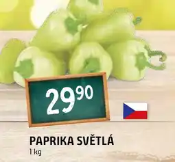 Terno PAPRIKA SVĚTLÁ nabídka