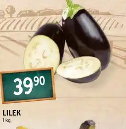 Terno LILEK nabídka