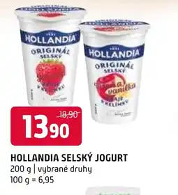 Terno HOLLANDIA SELSKÝ JOGURT nabídka