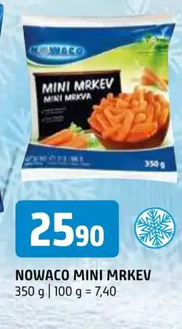 Terno NOWACO MINI MRKEV nabídka