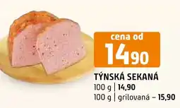Terno TÝNSKÁ SEKANÁ nabídka